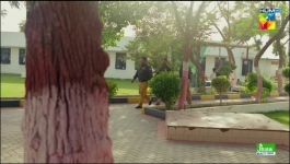 Teri Chhaon Mein - Episode 13 - 22nd August 2024